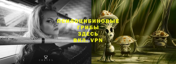 прущий лед Богородицк