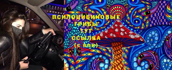 Альфа ПВП Белокуриха