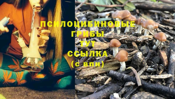 СК Богданович