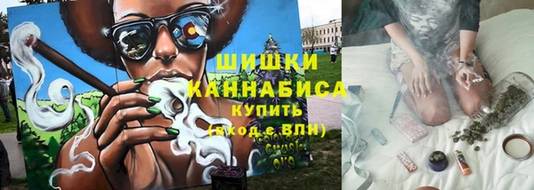 Альфа ПВП Белокуриха